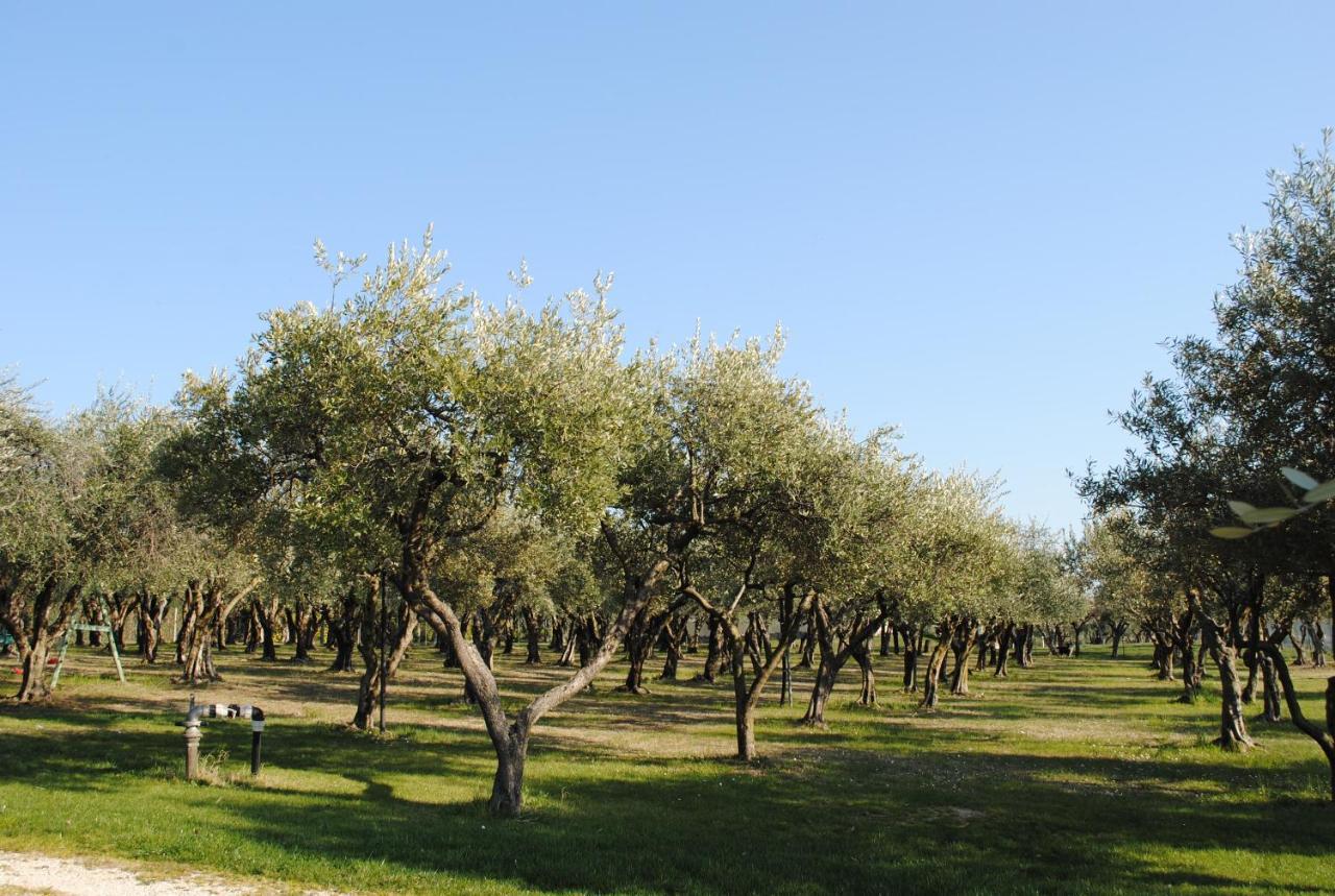 Agriturismo Melograno D'Oro Bardolino Eksteriør billede