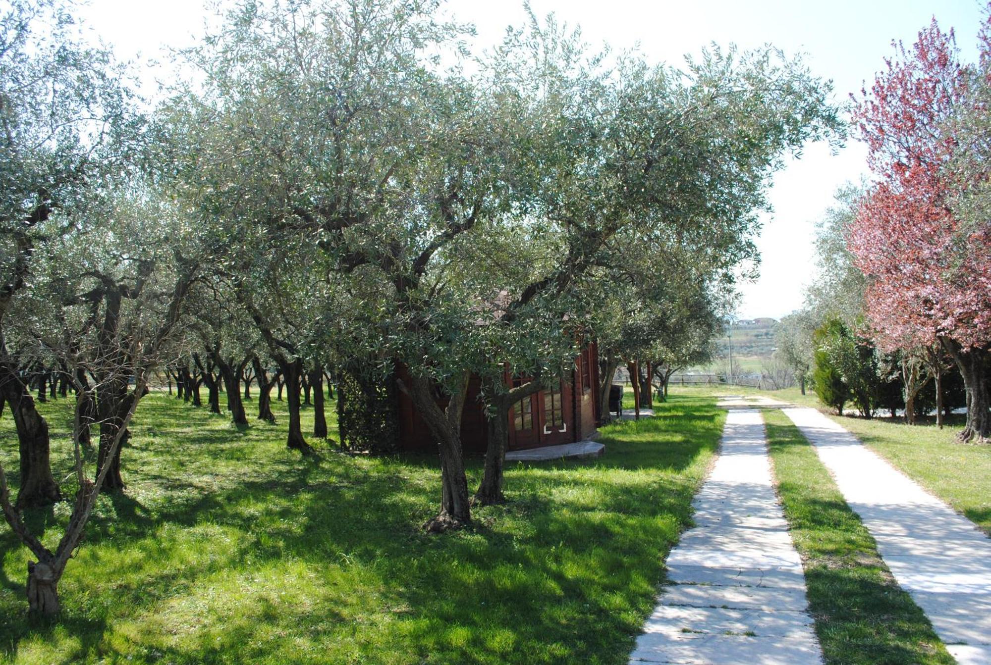 Agriturismo Melograno D'Oro Bardolino Eksteriør billede
