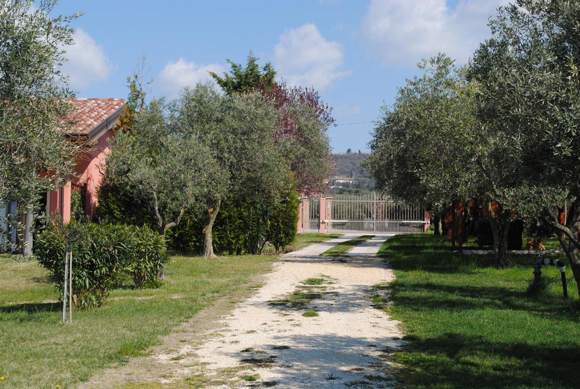 Agriturismo Melograno D'Oro Bardolino Eksteriør billede