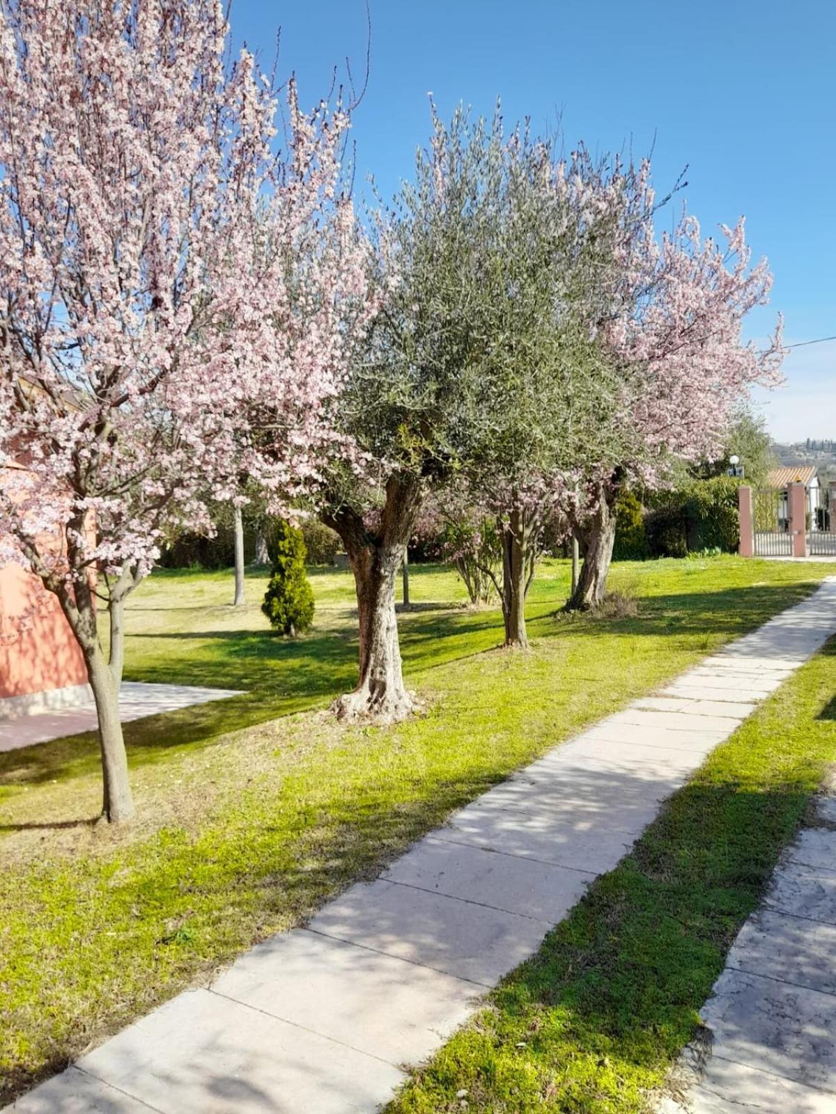 Agriturismo Melograno D'Oro Bardolino Eksteriør billede