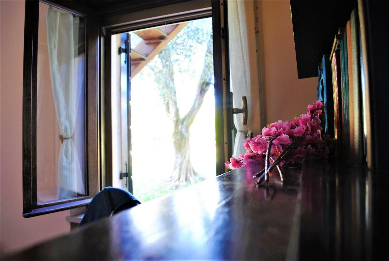 Agriturismo Melograno D'Oro Bardolino Eksteriør billede