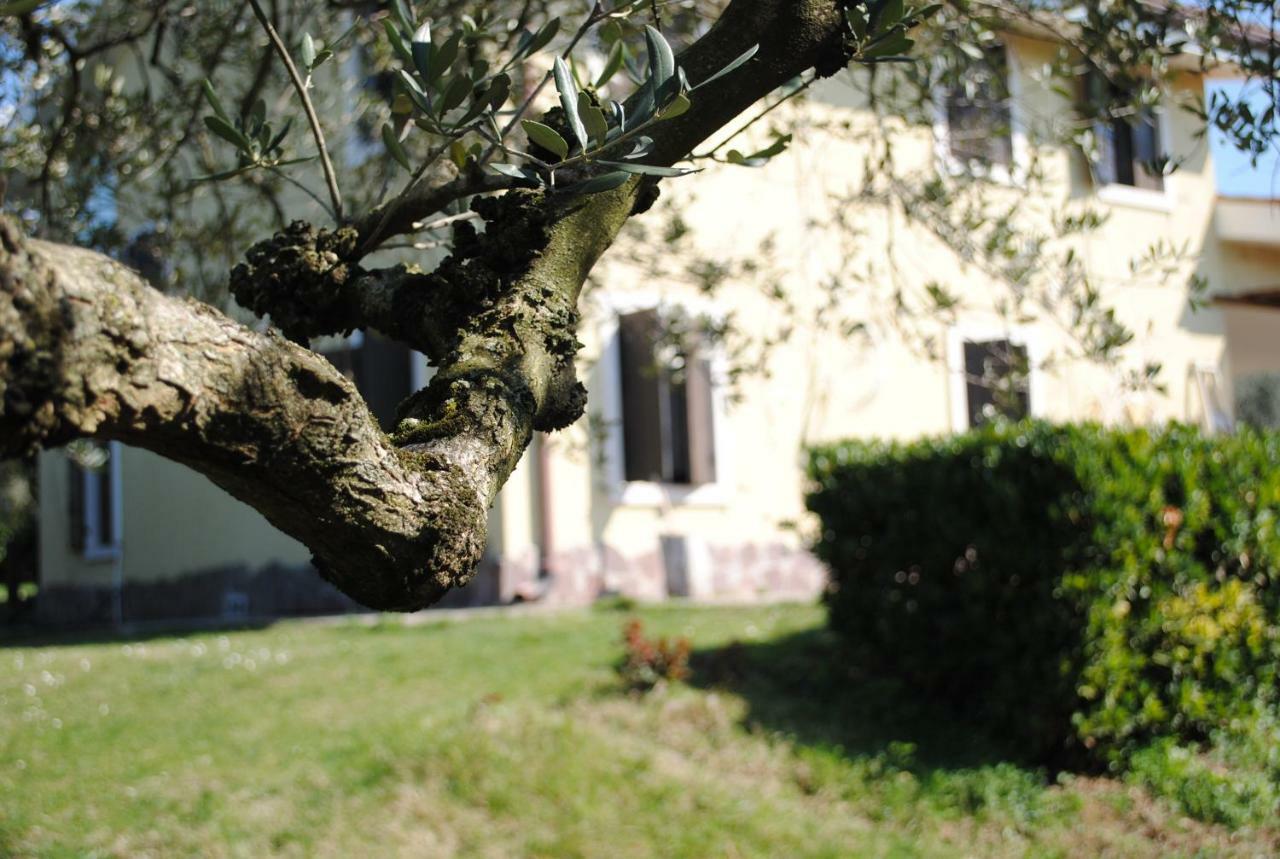 Agriturismo Melograno D'Oro Bardolino Eksteriør billede