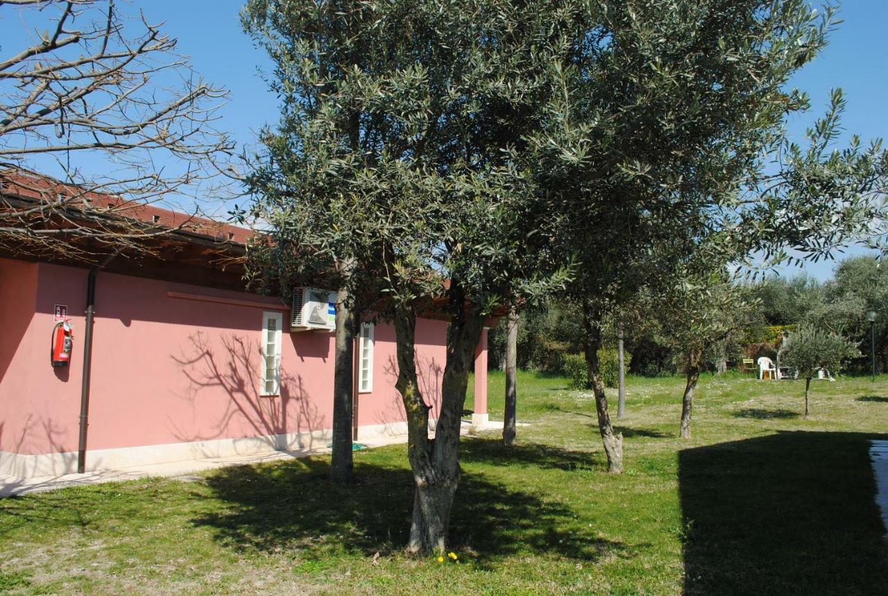 Agriturismo Melograno D'Oro Bardolino Eksteriør billede